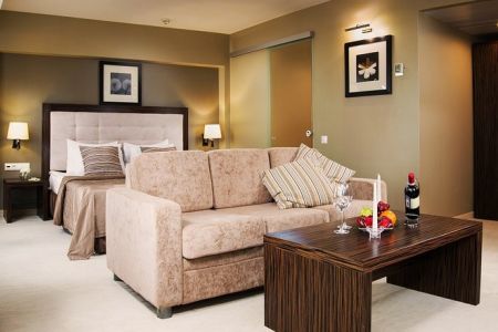 Люкс Студия 2-местный 1-комнатный