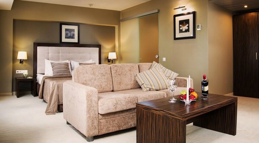 Люкс Студия 2-местный 1-комнатный